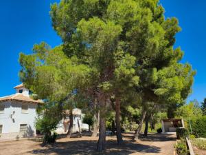 Casa Rural "La villa del pistacho"