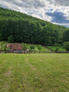 Klocanica Pure Nature