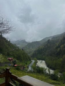 Maysa Suit Bungalov