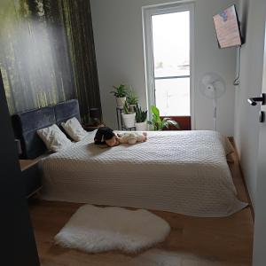 Apartamenty na Różanej