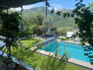 Olivaie d Azur
