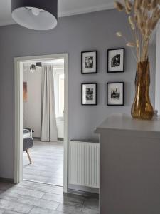 Apartament na Cebuli