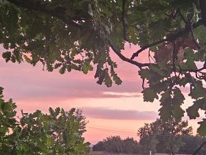 Au cœur de la provence