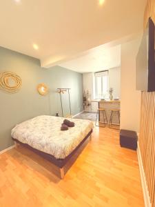 Appartements cosy hypercentre avec clim , Tout à pied