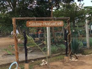 Saadani Pangani camps and tours