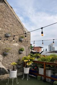 Seven Nights Hostel Cartagena