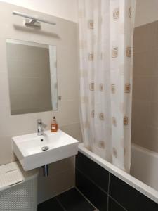 Apartmán s terasou REZIDENCE 300 Všemina