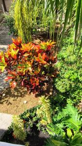 Apartamento Aconchegante Campeche