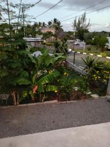 Desirella Villa studio