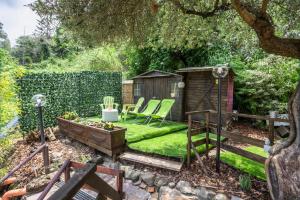 Il nido tra gli ulivi