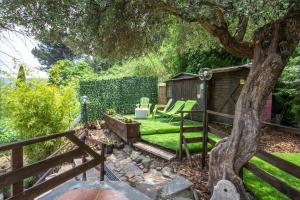 Il nido tra gli ulivi