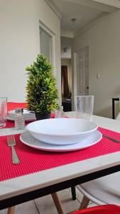 Apt 2Bed near Hospitals Urban and Connected