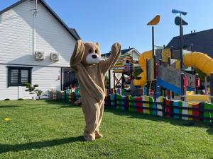 Holiday homes near the beach, sauna, whirlpool