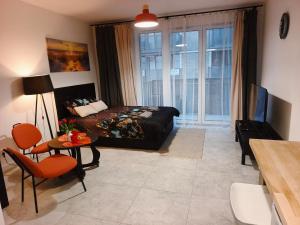 Mostek 2 Studio nad rzeką z darmowym parkingiem