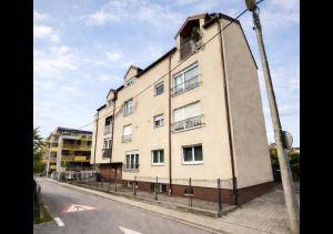 Mini Cooper Kajzerica