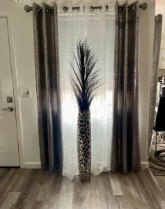 Family Friendly Eastside Tucson