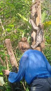 Jacamar Lodge Expeditions