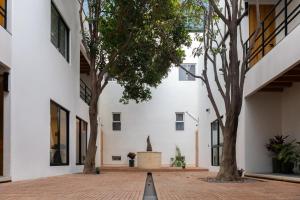 Hermoso Departamento en Jalatlaco