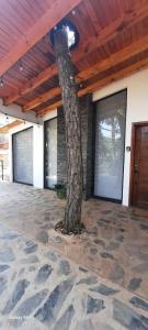 Cabaña "Alexa", en el corazón del bosque de Mazamitla