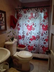 The Nest Rainforest Retreat