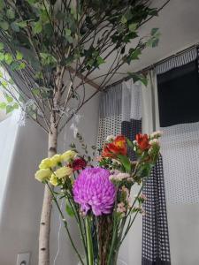 Pupu House Ngam Branch Hongdae Myeongdong Cost-effective Station Area