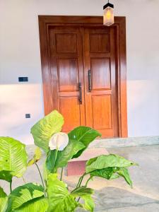 Villa de Mango Hues