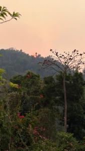 Namdong Waterfall & Eco Resort