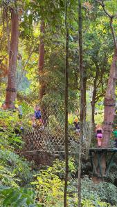 Namdong Waterfall & Eco Resort