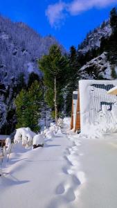 Tri peak Cottage