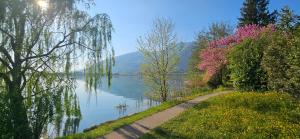 Il Sole Nel Lago