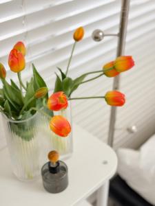 합정 모먼트 스테이