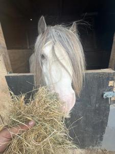 Stylish 3BR & 2BR Home Private Luxury Stays & Event Hire