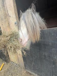 Stylish 3BR & 2BR Home Private Luxury Stays & Event Hire