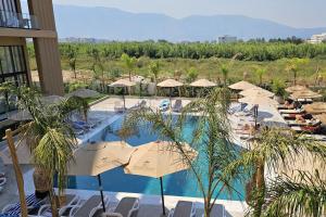 Pool View Palm 002 - Happy Rentals