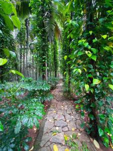 the Farm Estate Social Colonial House in Nature