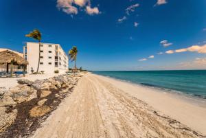 Beachfront paradise, heated pool and ocean view #9
