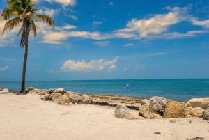 Relaxing Garden Condo Oasis, Heated Pool & Ocean #18