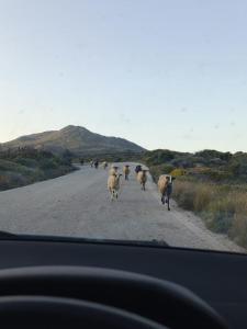 Stay with Locals in Zakros