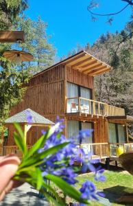ECHIVITI Cottages in Abastumani