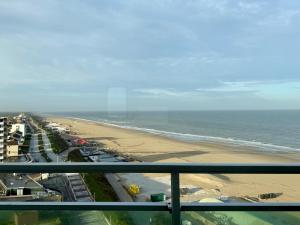 Seaview 65