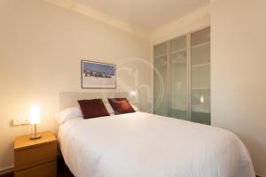 Terrace apartment with direct view to Sagrada Familia