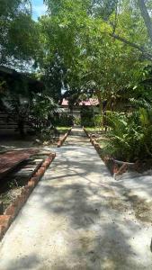 Ted Guesthouse
