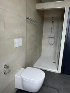 Chambre spacieuse avec salle de bain privative