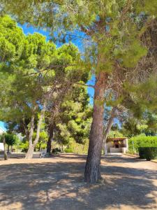 Casa Rural "La villa del pistacho"