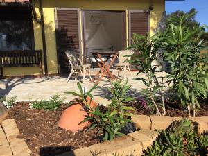 Cottage Casa Gina - Goelba