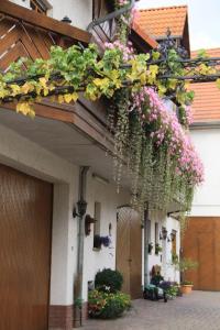 Weingut & Gästezimmer Butzbach