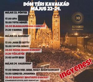 Downtown Dream Apartmans