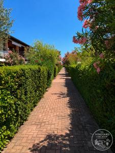The Vineyard Lake House - Desenzano del Garda