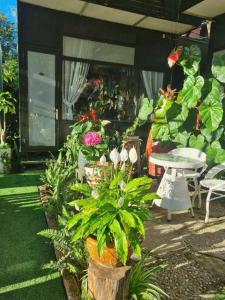 Family & Friends Homestay Đà Lạt