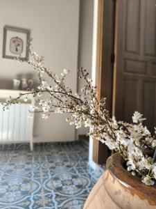 Posada El Achichuelo